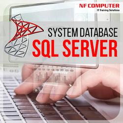 Sistem Database SQL Server